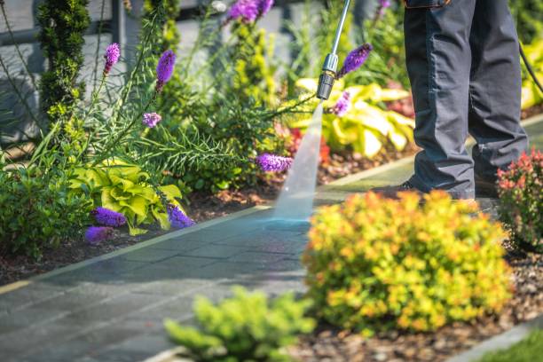 Best Spring Cleaning  in Barry, IL