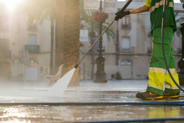 Best Gutter Cleaning  in Barry, IL